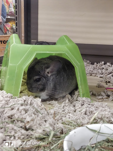 Pet Supply Store «Petco Animal Supplies», reviews and photos, 86 Storrs Rd, Mansfield Center, CT 06250, USA