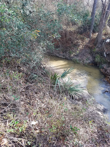 Book Store «Lone Star College Kingwood Bookstore», reviews and photos, 20000 Kingwood Dr, Kingwood, TX 77339, USA