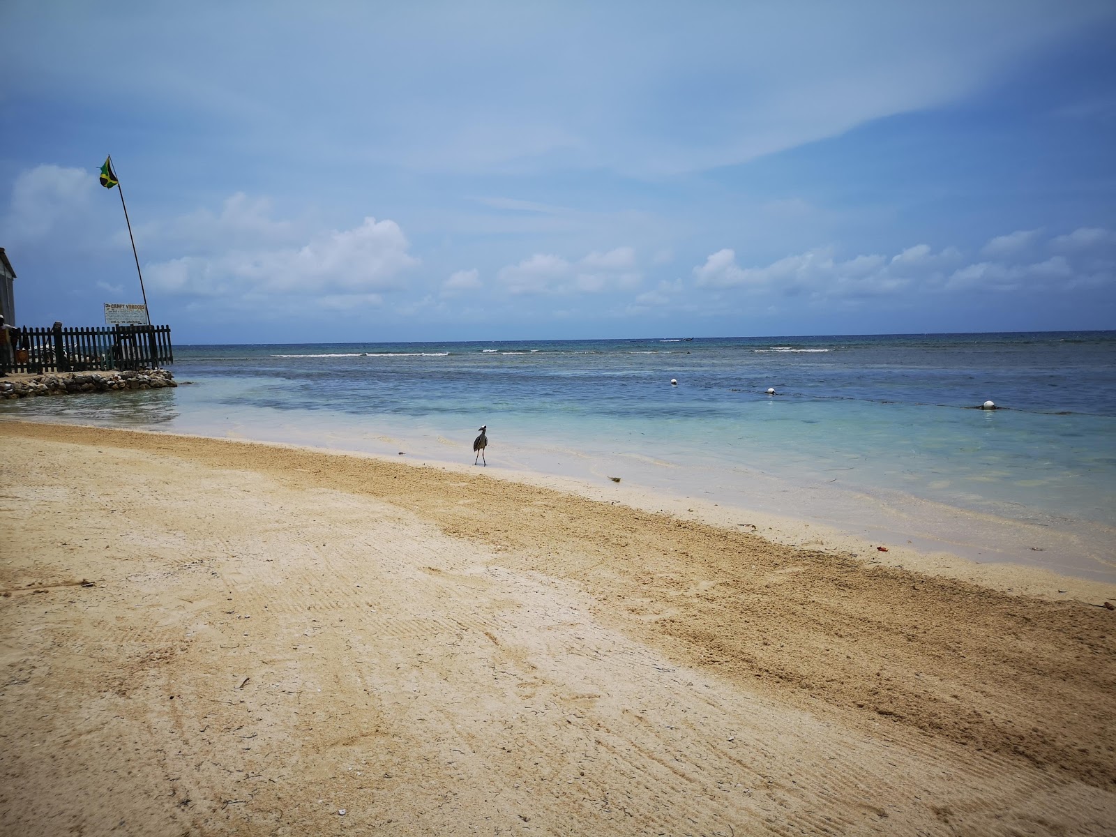 Fotografie cu Plaja Holiday Inn Montego Bay și peisajul său frumos