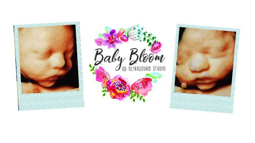 Baby Store «Baby Bloom 4D Ultrasound Studio», reviews and photos, 1803 Canterbury Dr d, Valdosta, GA 31602, USA