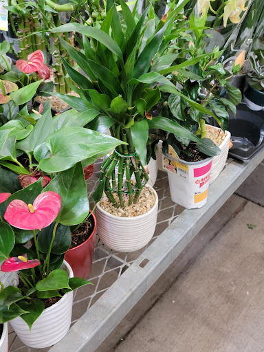 Home Improvement Store «The Home Depot», reviews and photos, 100 Gentilly Blvd, Cartersville, GA 30120, USA