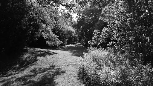 Park «Russell Creek Park», reviews and photos, 3500 McDermott Rd, Plano, TX 75025, USA