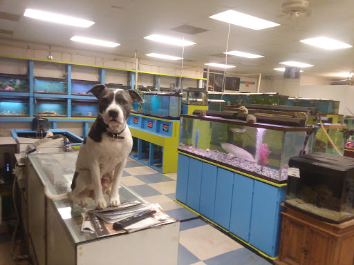 Pet Store «Fish & Pets Ranch», reviews and photos, 10100 Kleckley Dr, Houston, TX 77075, USA