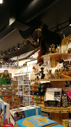 Toy Store «Coolest Toys On Earth», reviews and photos, 6840 Wooster Pike, Cincinnati, OH 45227, USA