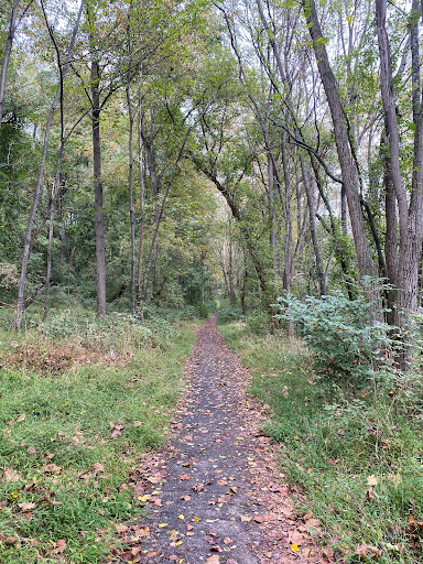Alberton Road Trailhead