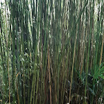 Photo n° 14 de l'avis de Nathalie.. fait le 23/07/2023 à 15:40 pour Le Kestellic à Plouguiel