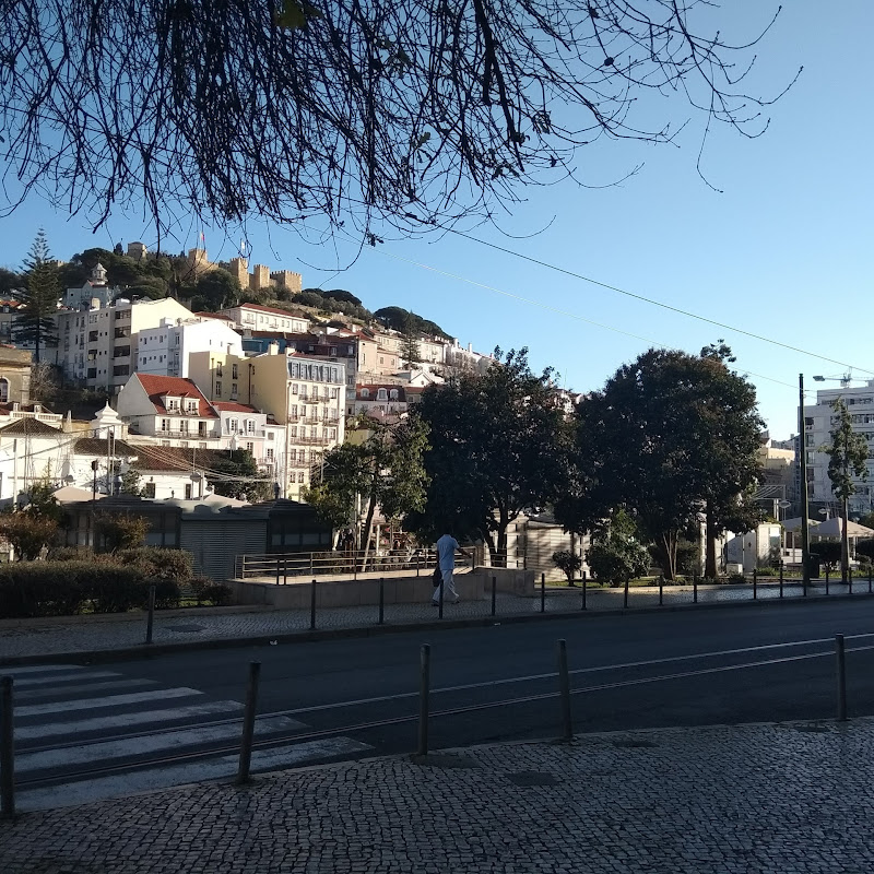 3 image