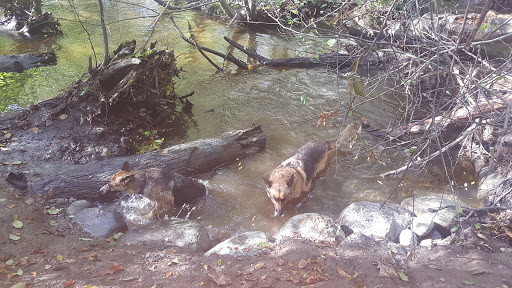 Park «Juanita Beach Park», reviews and photos, 9703 NE Juanita Dr, Kirkland, WA 98034, USA