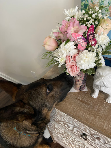 Florist «Wallingford Flower Shoppe», reviews and photos, 190 Center St, Wallingford, CT 06492, USA