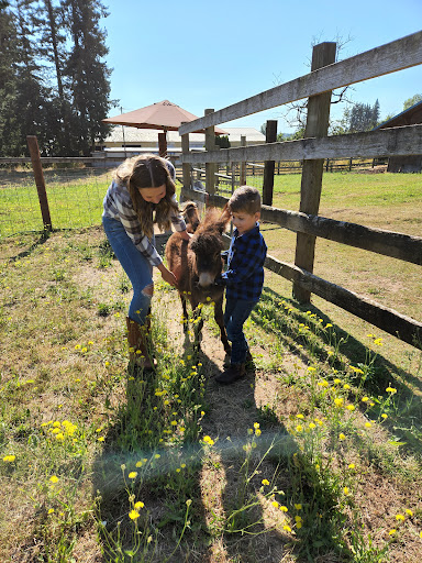 Tourist Attraction «Tollen Farm», reviews and photos, 11681 SW Tooze Rd, Wilsonville, OR 97070, USA