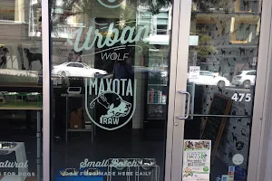Urban Wolf image