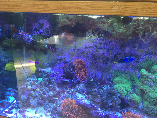 Car Wash «Paradise Full Service Car Wash & Detail Center», reviews and photos, 9201 Lyndale Ave S, Minneapolis, MN 55420, USA