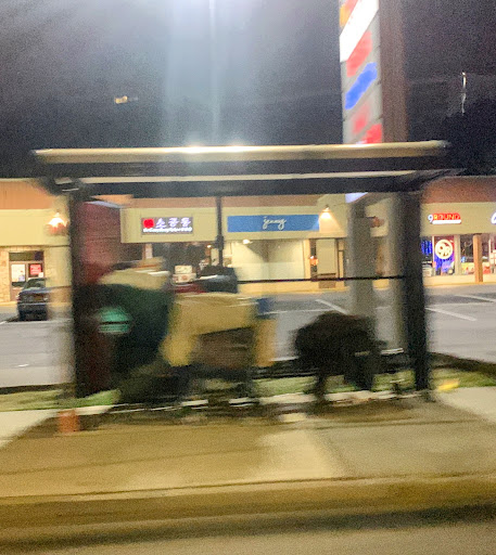 Ice Cream Shop «Carvel», reviews and photos, 419 N Central Ave, Hartsdale, NY 10530, USA