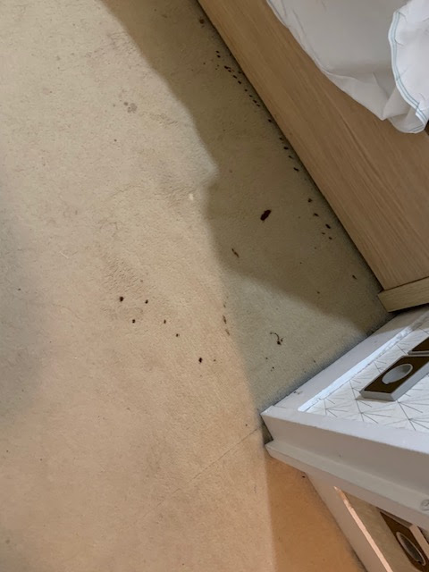 Photo n° 4 de l'avis de Florian.r fait le 23/03/2024 à 15:12