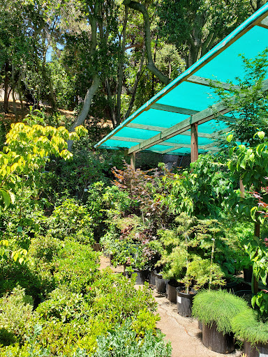 Garden Center «Ladera Garden & Gifts», reviews and photos, 3130 Alpine Rd #380, Portola Valley, CA 94028, USA