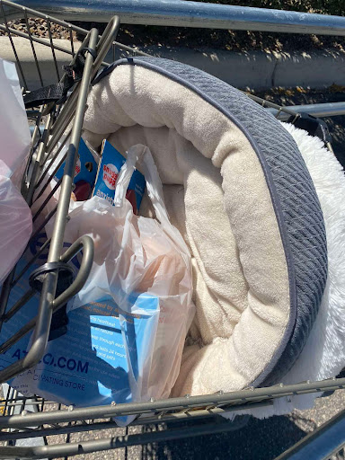 Pet Supply Store «Petco Animal Supplies», reviews and photos, 585 E Wetmore Rd, Tucson, AZ 85705, USA