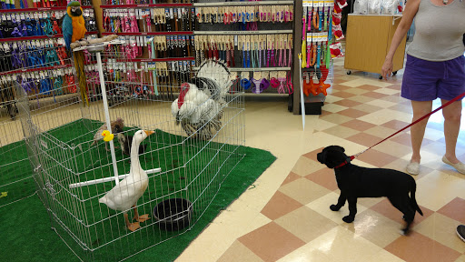 Pet Supply Store «Petco Animal Supplies», reviews and photos, 3637 2700 W, West Valley City, UT 84119, USA