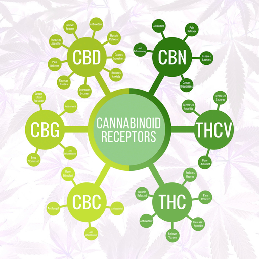 Tobacco Shop «Smoke House Vapes & Tobacco», reviews and photos, 3808 High Point Rd, Greensboro, NC 27407, USA