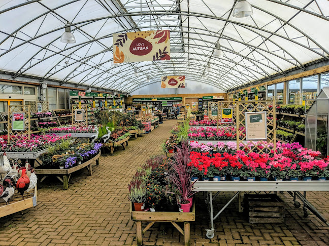 Reviews of Dobbies Garden Centre Ponteland in Newcastle upon Tyne - Landscaper