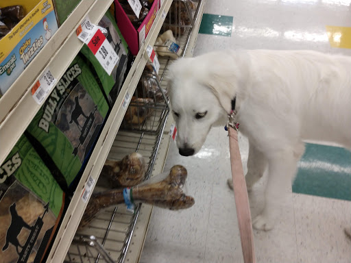 Pet Supply Store «Pet Supplies Plus», reviews and photos, 1510 Scranton Carbondale Hwy, Scranton, PA 18508, USA