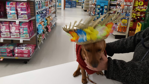 Pet Supply Store «PetSmart», reviews and photos, 10 Traders Way, Salem, MA 01970, USA
