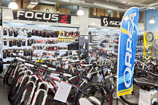 BSM Bikes, Expertos en ciclismo