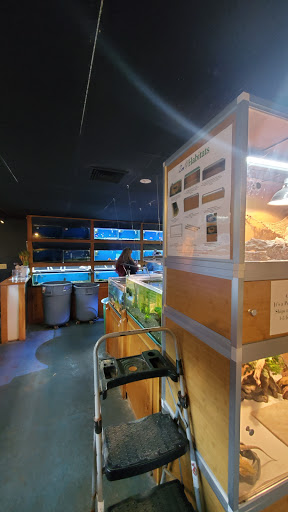 Pet Store «Pets World», reviews and photos, 147 Bridge St, Weymouth, MA 02191, USA