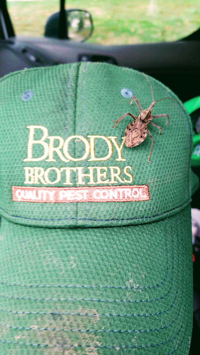 Brody Brothers Pest Control