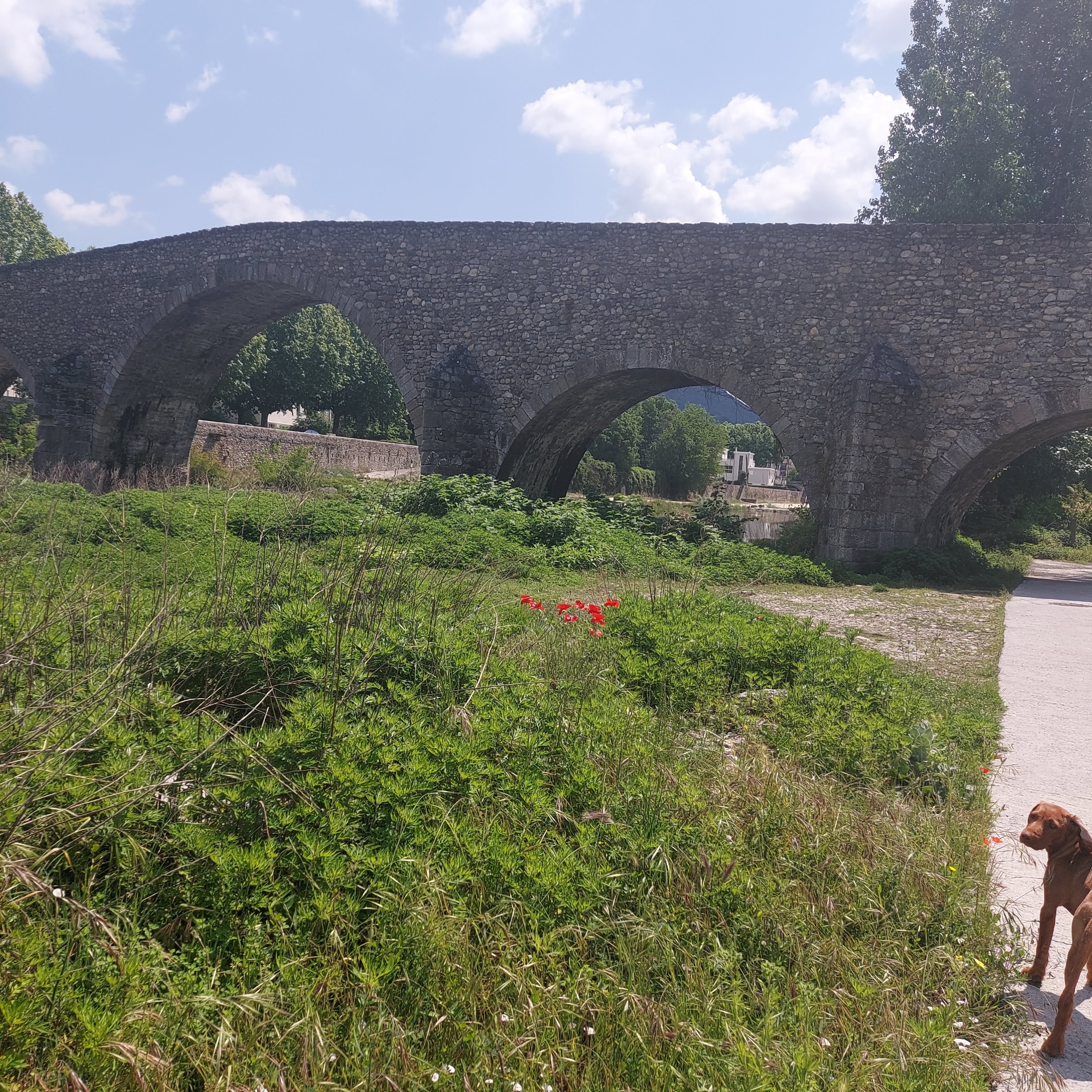 Photo n° 11 de l'avis de Claudia.e fait le 29/05/2023 à 13:55