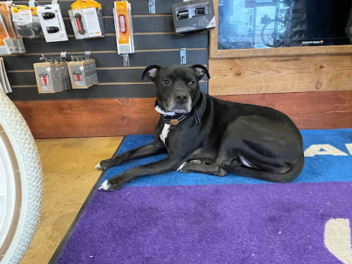 Bicycle Store «Reality Bikes», reviews and photos, 20 Tri-County Plaza, Cumming, GA 30040, USA