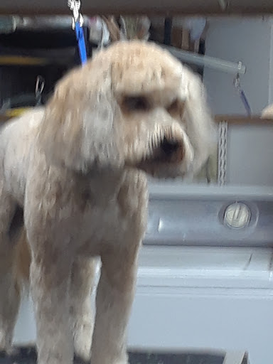 Pet Supply Store «Pets For You», reviews and photos, 413 N Main St, Rice Lake, WI 54868, USA