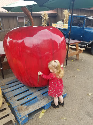 Apple Hill High Hill Ranch image