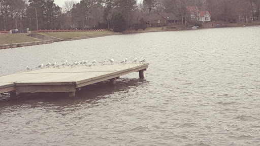 Golf Course «Lochmere Golf Club», reviews and photos, 2511 Kildaire Farm Rd, Cary, NC 27518, USA