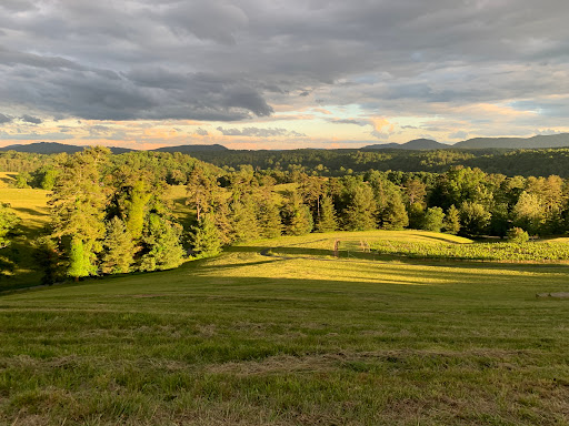 Attorney «Sherry Ellis Law, PLLC», reviews and photos