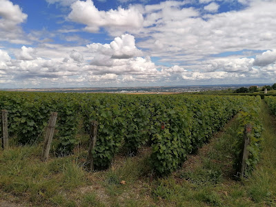 Champagne Lassaigne Olivier à Montgueux