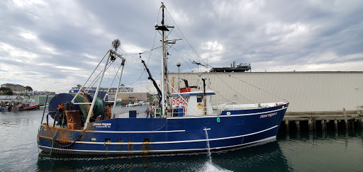 Whale Watching Tour Agency «7 Seas Whale Watch», reviews and photos, 63 Rogers St, Gloucester, MA 01930, USA