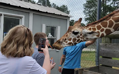 Aloha Safari Park image