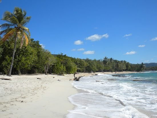 Plage Anse desert