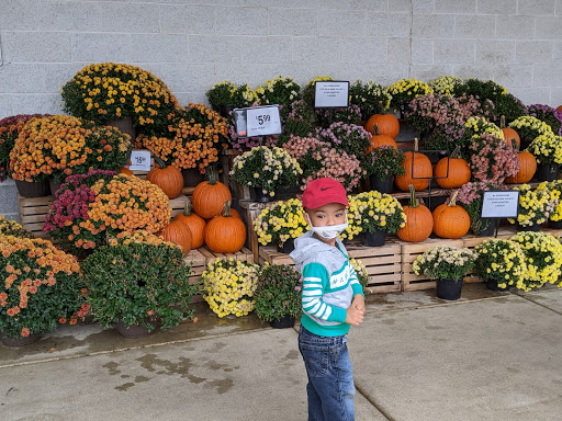 Grocery Store «Giant Food Stores», reviews and photos, 10 Newport Rd, Leola, PA 17540, USA