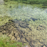 Photo n°2 de l'avis de Fritz. fait le 16/06/2021 à 18:34 sur le  Ristorante Saliola al Lago Ghedina à Cortina d'Ampezzo