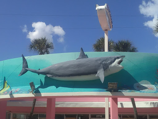Gift Shop «Big Shark», reviews and photos, 2715 N Atlantic Ave, Daytona Beach, FL 32118, USA