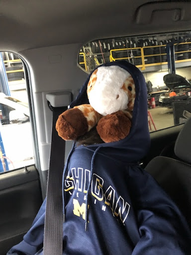 Car Dealer «Todd Wenzel Buick GMC of Davison», reviews and photos, 1146 S State Rd, Davison, MI 48423, USA