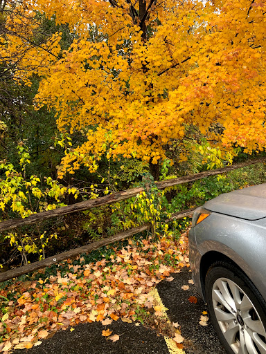 Hobby Store «Oakridge Hobbies», reviews and photos, 15800 New Ave, Lemont, IL 60439, USA