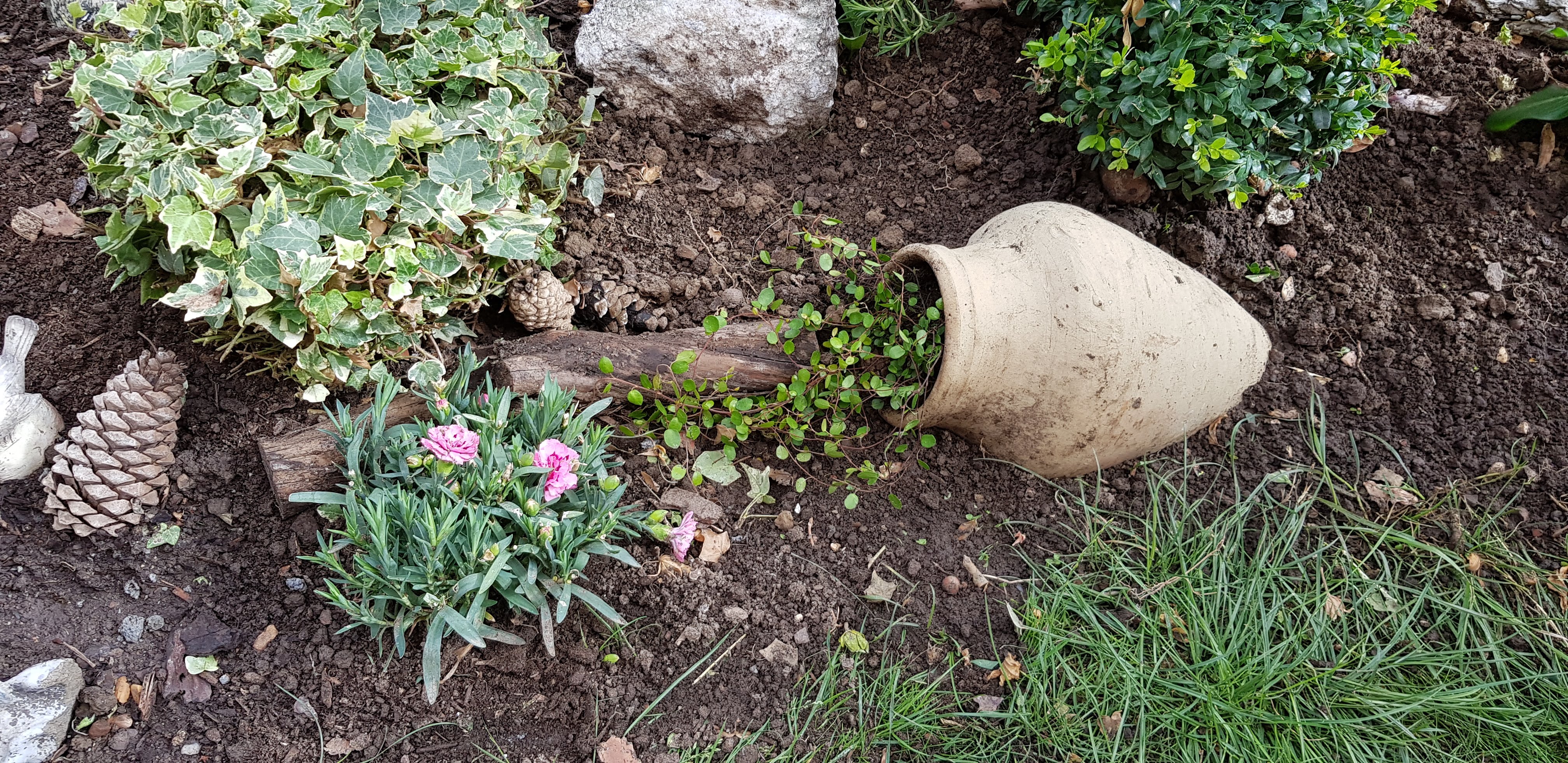 Photo n° 1 de l'avis de Emmanuelle.h fait le 10/08/2019 à 12:46