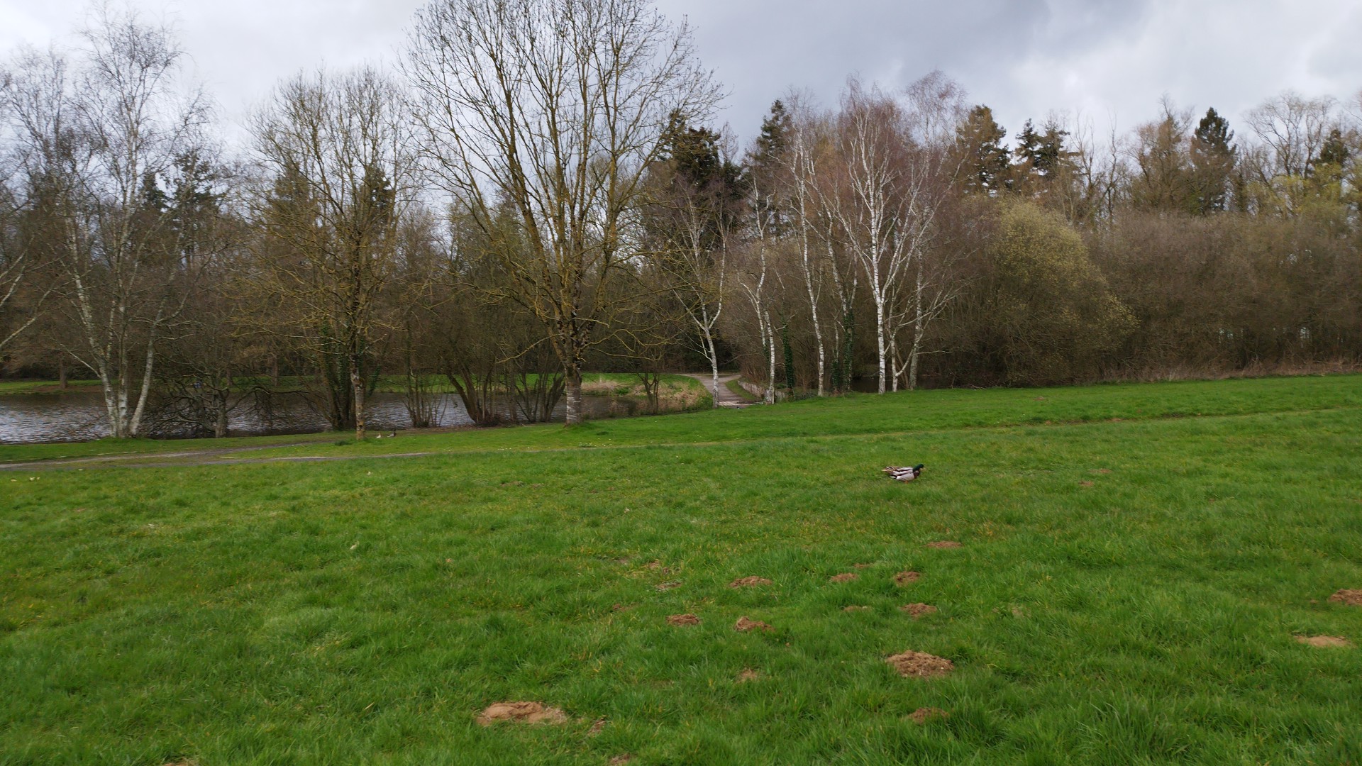 Photo n° 14 de l'avis de Eric.o fait le 09/05/2019 à 04:42