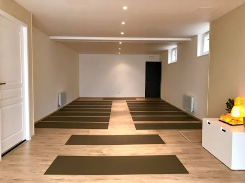 Centre de yoga VyAnanda Brie-Comte-Robert