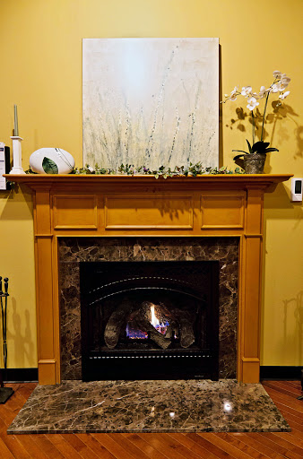 Fireplace store Ann Arbor