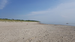 Nemirsetos beach'in fotoğrafı - rahatlamayı sevenler arasında popüler bir yer