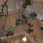 Photo n°17 de l'avis de Felice.o fait le 09/02/2020 à 19:01 sur le  Osteria Toscanelli à Ostia