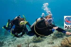 Scuba Ts Dive Centre image